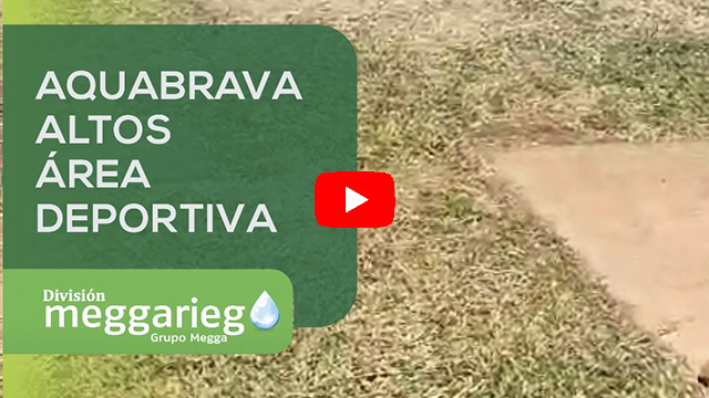 Video 0